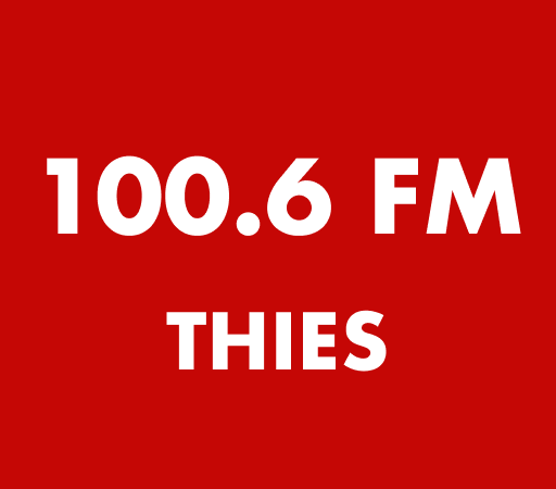 Thies FM